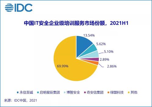 2021年上半年中國IT安全服務(wù)市場強勁增長，整體收入達11.1億美元